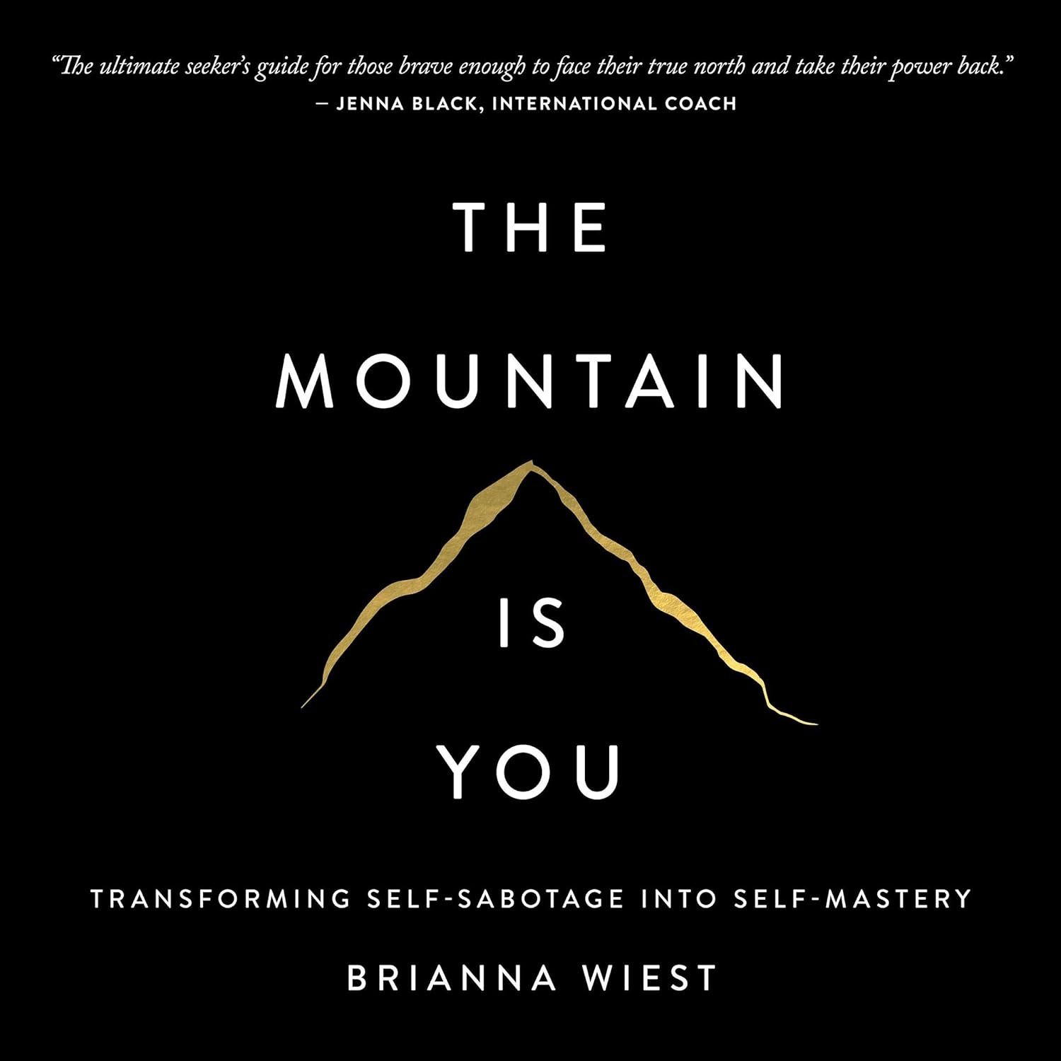 The Mountain Is You by Brianna Wiest